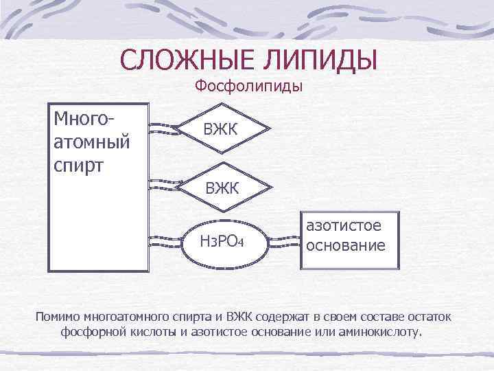 СЛОЖНЫЕ ЛИПИДЫ Фосфолипиды Многоатомный спирт ВЖК H 3 PO 4 азотистое основание Помимо многоатомного