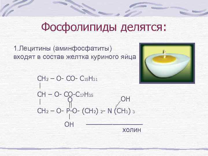 Фосфолипиды делятся: 1. Лецитины (аминфосфатиты) входят в состав желтка куриного яйца CH 2 –