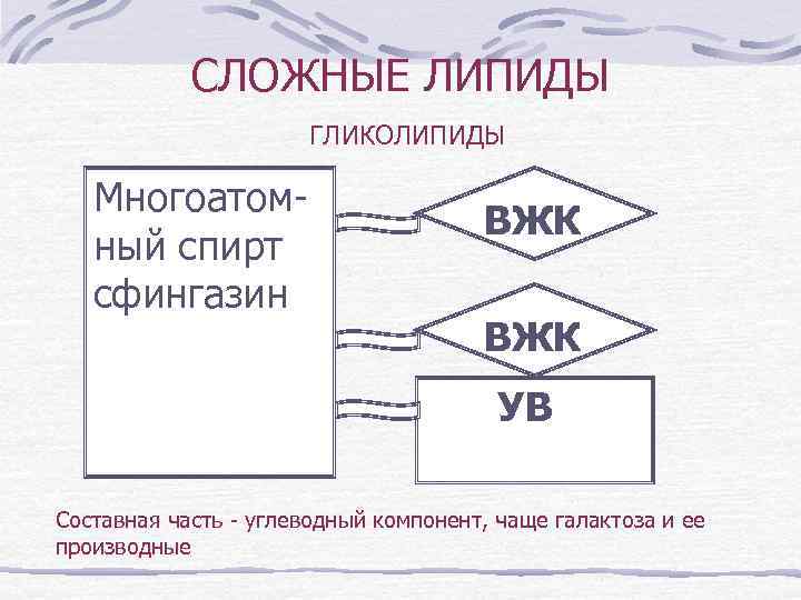 СЛОЖНЫЕ ЛИПИДЫ ГЛИКОЛИПИДЫ Многоатомный спирт сфингазин ВЖК УВ Составная часть - углеводный компонент, чаще