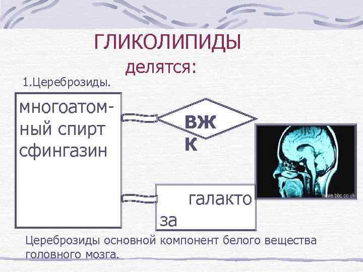 ГЛИКОЛИПИДЫ 1. Цереброзиды. делятся: многоатомный спирт сфингазин ВЖ К за галакто Цереброзиды основной компонент