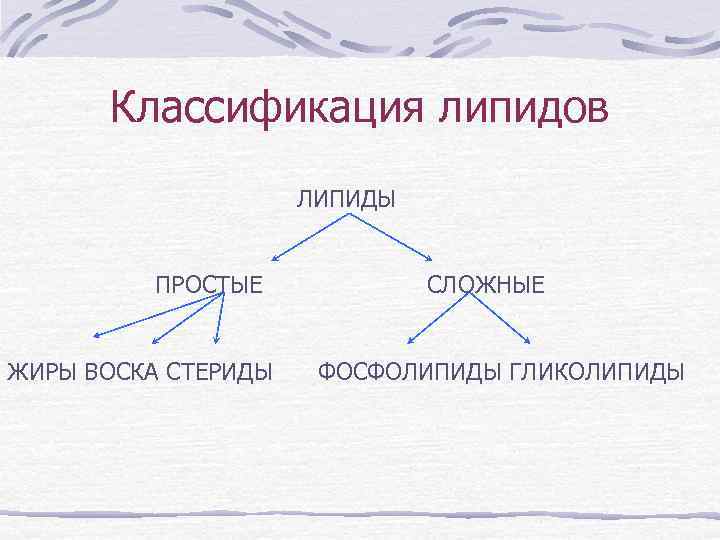 Классификация липидов ЛИПИДЫ ПРОСТЫЕ ЖИРЫ ВОСКА СТЕРИДЫ СЛОЖНЫЕ ФОСФОЛИПИДЫ ГЛИКОЛИПИДЫ 