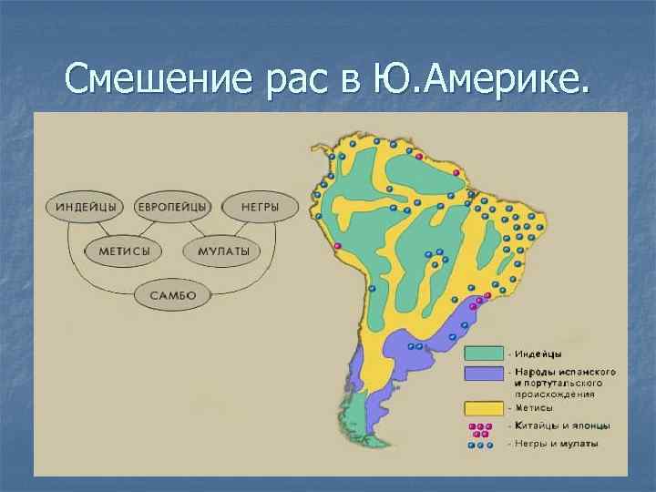 Смешение рас в Ю. Америке. 