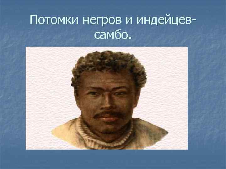 Потомки негров и индейцевсамбо. 