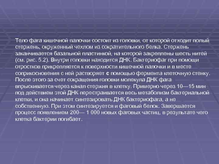 Тело фага кишечной палочки состоит из головки, от которой отходит полый стержень, окруженный чехлом