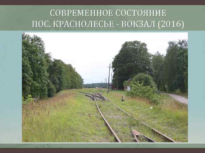 СОВРЕМЕННОЕ СОСТОЯНИЕ ПОС. КРАСНОЛЕСЬЕ - ВОКЗАЛ (2016) 
