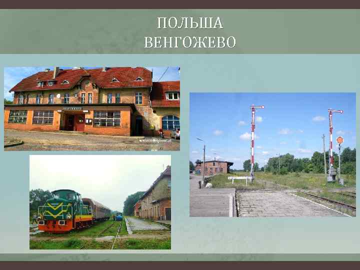 ПОЛЬША ВЕНГОЖЕВО 