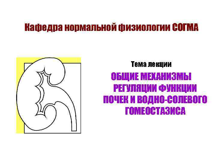Кафедра нормальной физиологии СОГМА Тема лекции ОБЩИЕ МЕХАНИЗМЫ РЕГУЛЯЦИИ ФУНКЦИИ ПОЧЕК И ВОДНО-СОЛЕВОГО ГОМЕОСТАЗИСА
