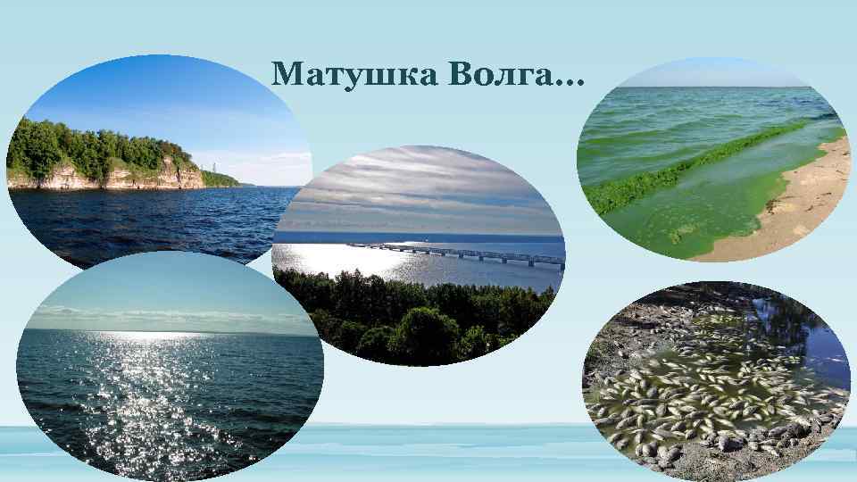 Матушка Волга… 