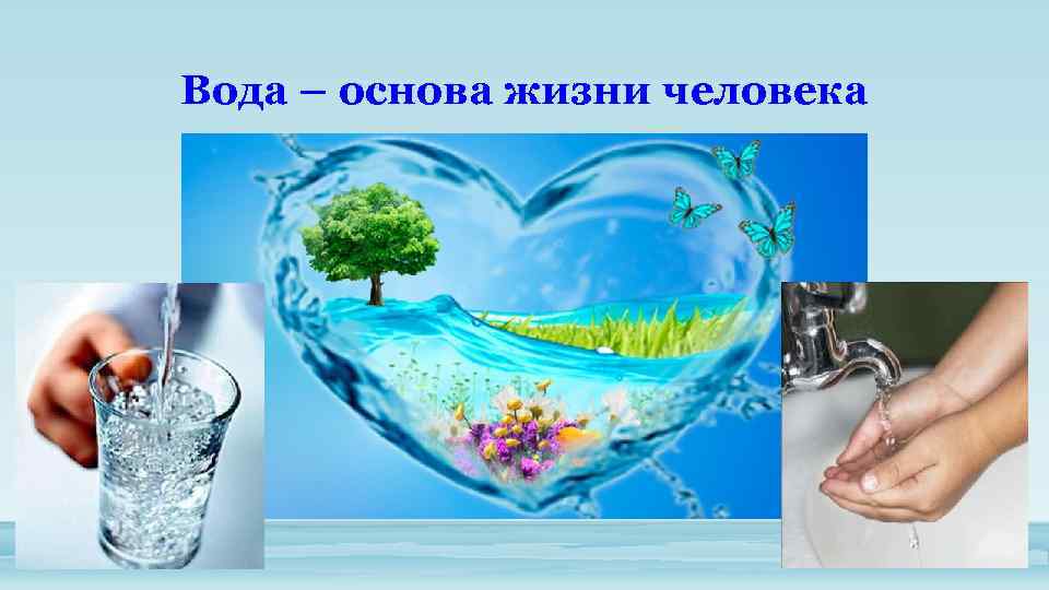 Вода – основа жизни человека 