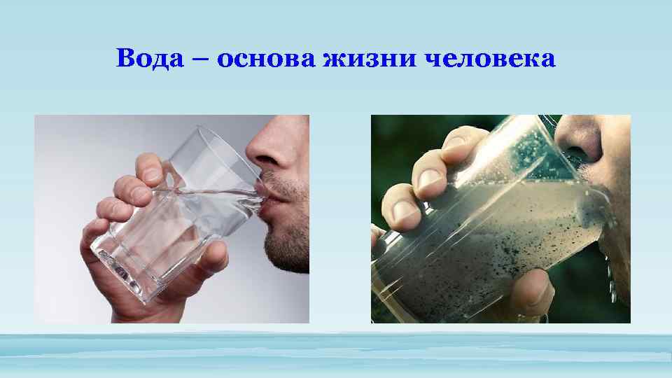 Вода – основа жизни человека 