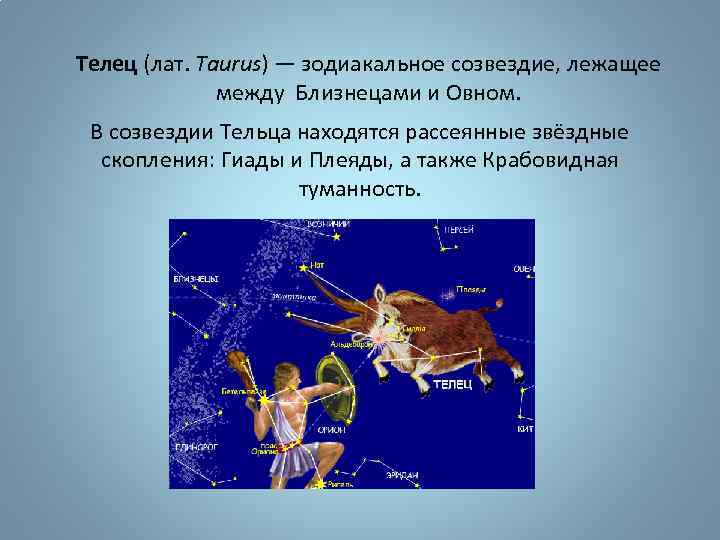 Телец (лат. Taurus) — зодиакальное созвездие, лежащее между Близнецами и Овном. В созвездии Тельца