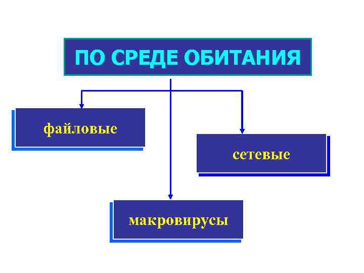 ПО СРЕДЕ ОБИТАНИЯ файловые сетевые макровирусы 