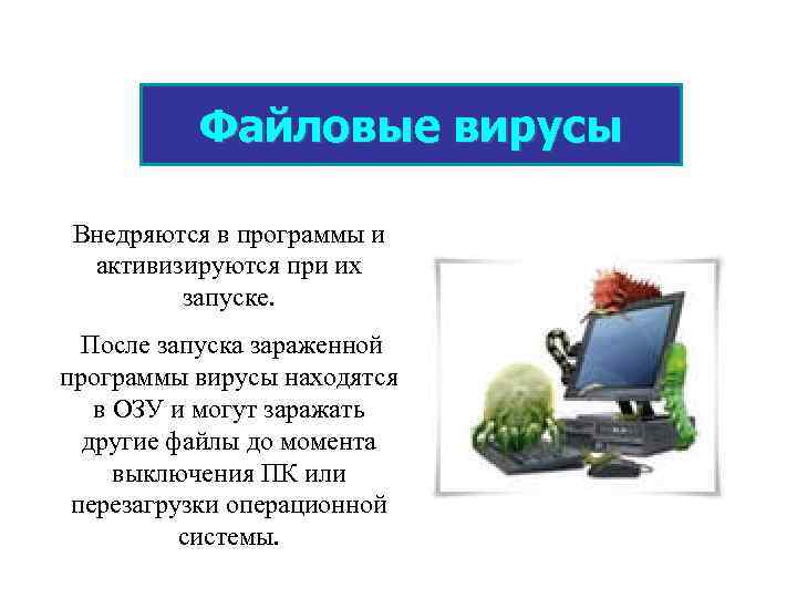 Вирусы которые выполняются только в момент запуска зараженной программы называются