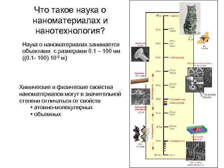 Что такое наука о наноматериалах и нанотехнология? Наука о наноматериалах занимается объектами с размерами