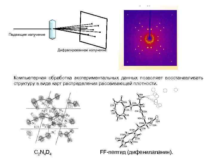 Падающее излучение Дифрагированное излучение Компьютерная обработка экспериментальных данных позволяет восстанавливать структуру в виде карт