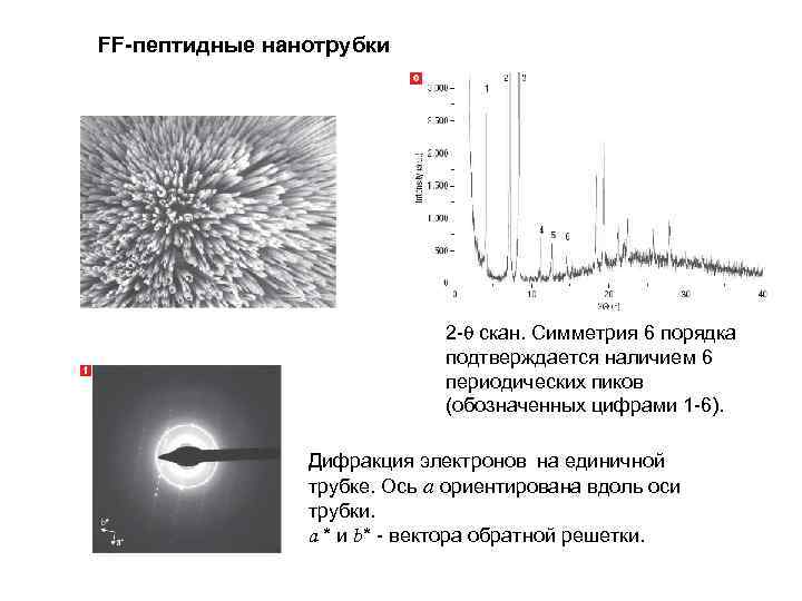 FF-пептидные нанотрубки 2 - скан. Симметрия 6 порядка подтверждается наличием 6 периодических пиков (обозначенных