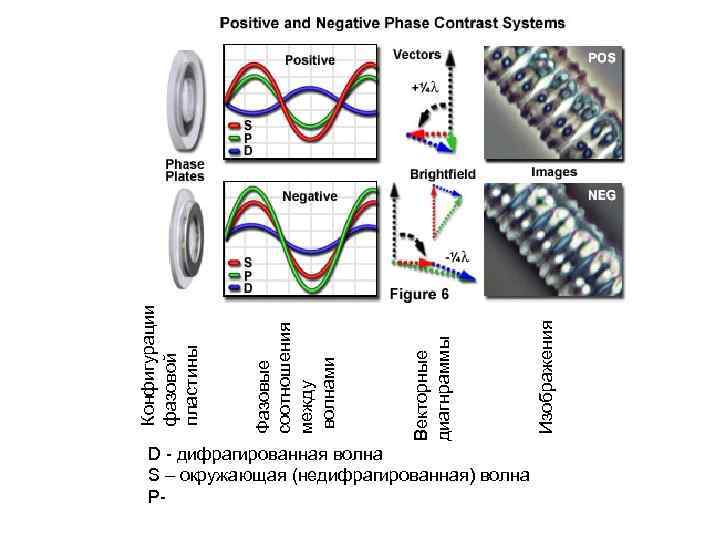 D - дифрагированная волна S – окружающая (недифрагированная) волна РИзображения Векторные диагнраммы Фазовые соотношения
