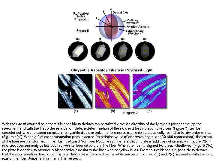 With the use of crossed polarizers it is possible to deduce the permitted vibration