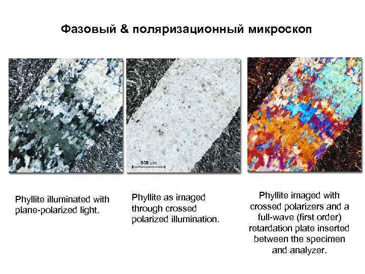 Фазовый & поляризационный микроскоп Phyllite illuminated with plane-polarized light. Phyllite as imaged through crossed