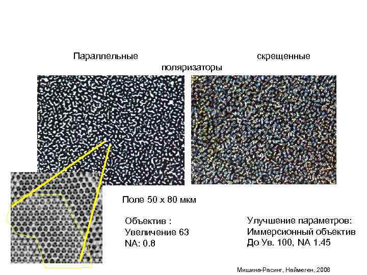 Параллельные скрещенные поляризаторы Поле 50 х 80 мкм Объектив : Увеличение 63 NA: 0.