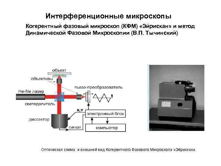 Интерференционные микроскопы Когерентный фазовый микроскоп (КФМ) «Эйрискан» и метод Динамической Фазовой Микроскопии (В. П.