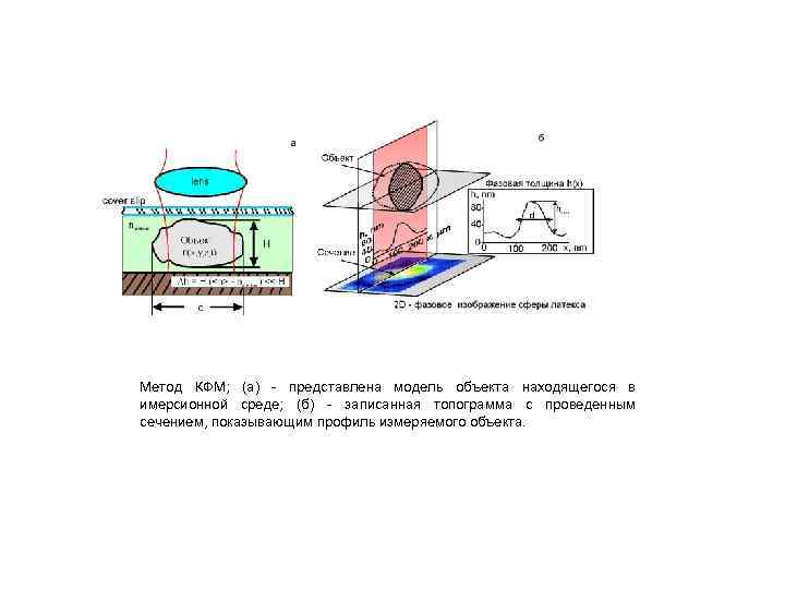  Метод КФМ; (а) - представлена модель объекта находящегося в имерсионной среде; (б) -