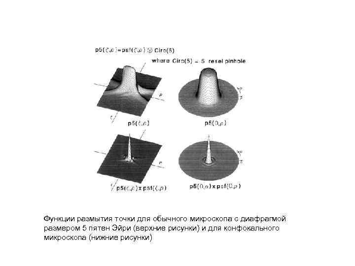 Функции размытия точки для обычного микроскопа с диафрагмой размером 5 пятен Эйри (верхние рисунки)
