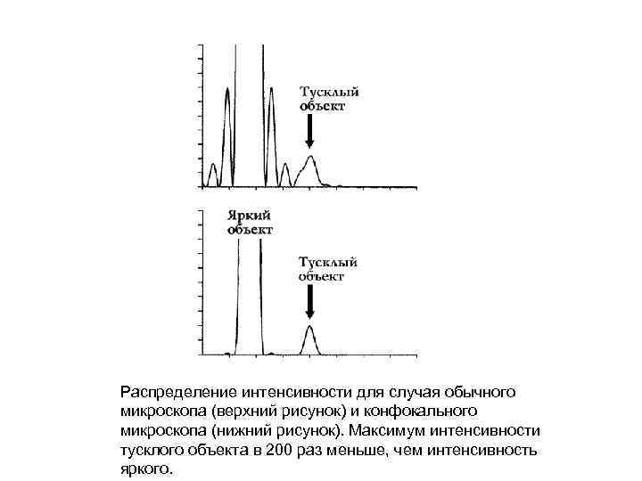 Распределение интенсивности для случая обычного микроскопа (верхний рисунок) и конфокального микроскопа (нижний рисунок). Максимум