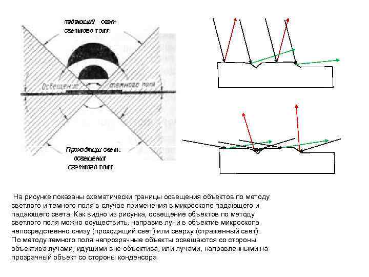  На рисунке показаны схематически границы освещения объектов по методу светлого и темного поля