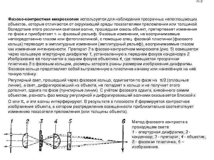 Фазово-контрастная микроскопия используется для наблюдения прозрачных непоглощающих объектов, которые отличаются от окружающей среды показателями