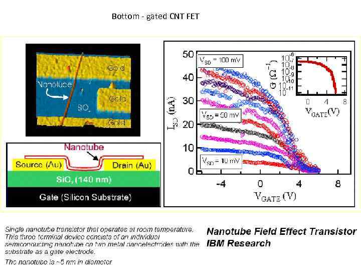 Bottom - gated CNT FET 