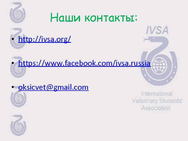 Наши контакты: • http: //ivsa. org/ • https: //www. facebook. com/ivsa. russia • oksicvet@gmail.