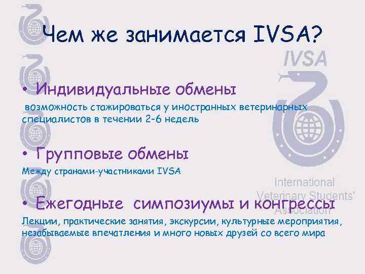Чем же занимается IVSA? • Индивидуальные обмены возможность стажироваться у иностранных ветеринарных специалистов в
