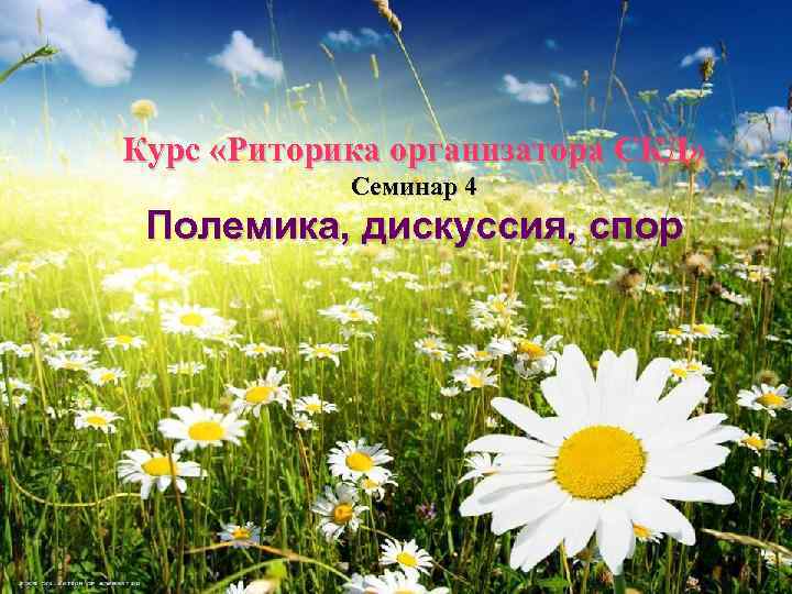 Курс «Риторика организатора СКД» Семинар 4 Полемика, дискуссия, спор 