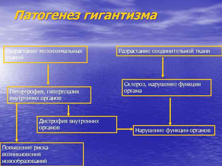 Патогенез гигантизма Разрастание мезенхимальных тканей Гипертрофия, гиперплазия внутренних органов Дистрофия внутренних органов Повышение риска