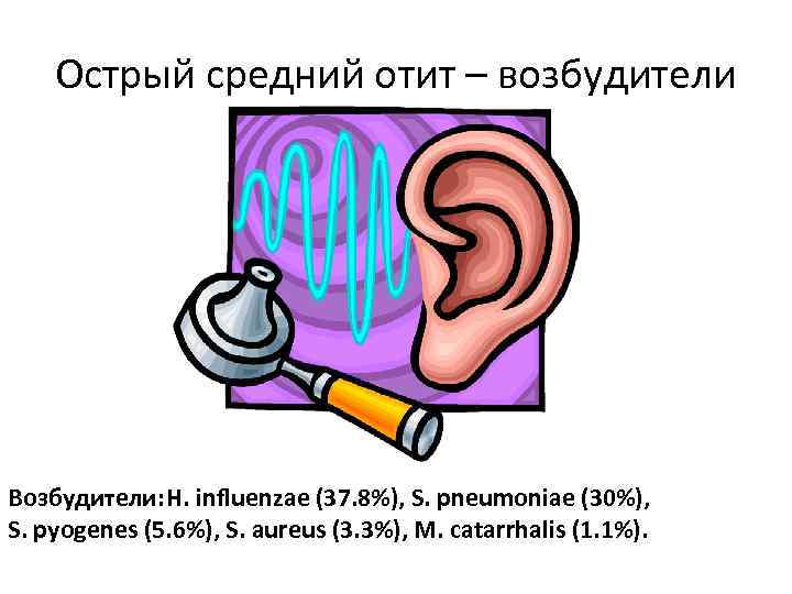Острый средний отит – возбудители Возбудители: H. influenzae (37. 8%), S. pneumoniae (30%), S.