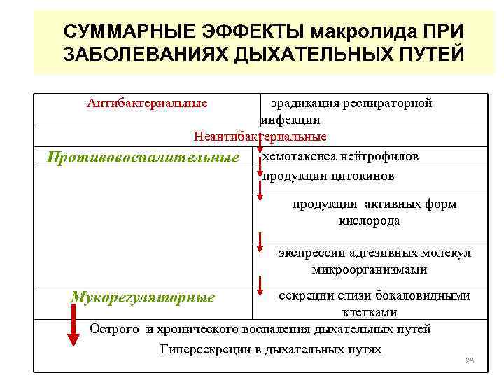 СУММАРНЫЕ ЭФФЕКТЫ макролида ПРИ ЗАБОЛЕВАНИЯХ ДЫХАТЕЛЬНЫХ ПУТЕЙ Антибактериальные эрадикация респираторной инфекции Неантибактериальные Противовоспалительные хемотаксиса