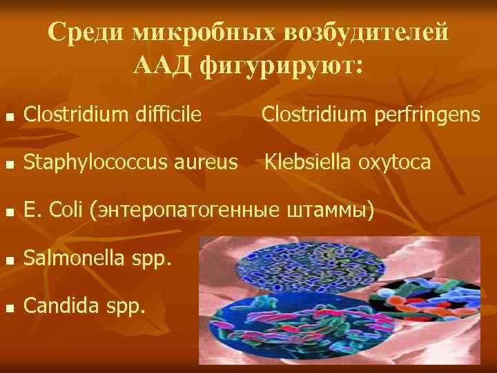 Среди микробных возбудителей ААД фигурируют: n Clostridium difficile Clostridium perfringens n Staphylococcus aureus Klebsiella