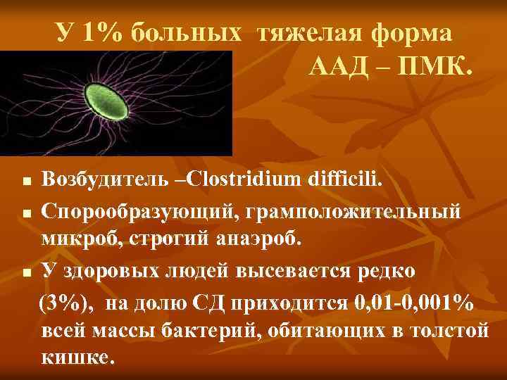 У 1% больных тяжелая форма ААД – ПМК. Возбудитель –Clostridium difficili. n Спорообразующий, грамположительный