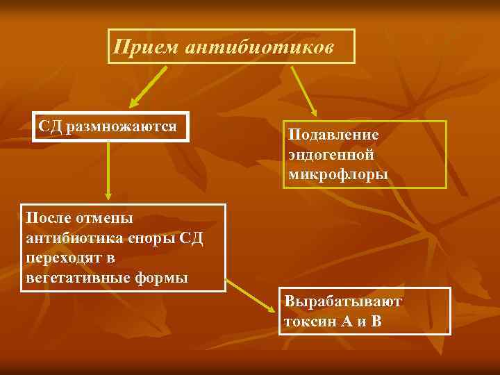 Прием антибиотиков СД размножаются Подавление эндогенной микрофлоры После отмены антибиотика споры СД переходят в