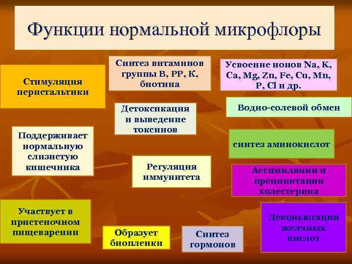 Функции нормальной микрофлоры Стимуляция перистальтики Поддерживает нормальную слизистую кишечника Участвует в пристеночном пищеварении Синтез