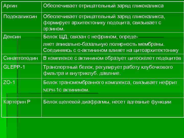 Аргин Обеспечивает отрицательный заряд гликокаликса Подокаликсин Обеспечивает отрицательный заряд гликокаликса, формирует архитектонику подоцита, связывает