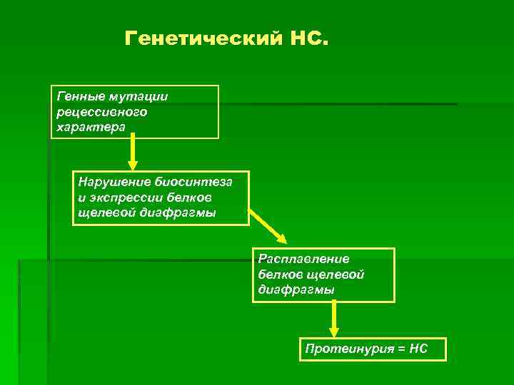Генетический НС. Генные мутации рецессивного характера Нарушение биосинтеза и экспрессии белков щелевой диафрагмы Расплавление