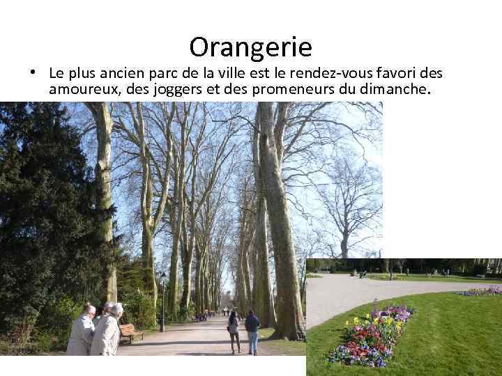 Orangerie • Le plus ancien parc de la ville est le rendez-vous favori des