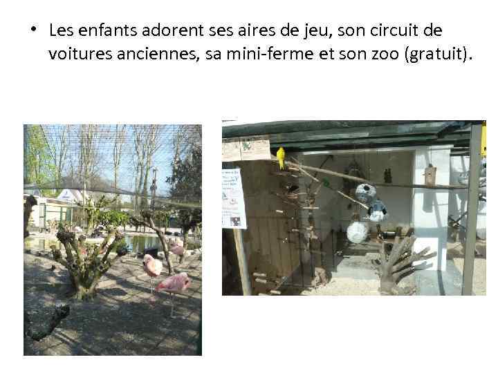  • Les enfants adorent ses aires de jeu, son circuit de voitures anciennes,