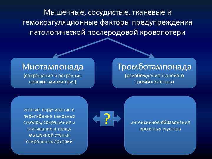 Мышечные, сосудистые, тканевые и гемокоагуляционные факторы предупреждения патологической послеродовой кровопотери Миотампонада Тромботампонада (сокращение и