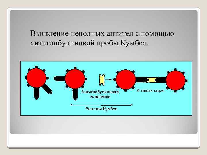 Выявление неполных антител с помощью антиглобулиновой пробы Кумбса. 