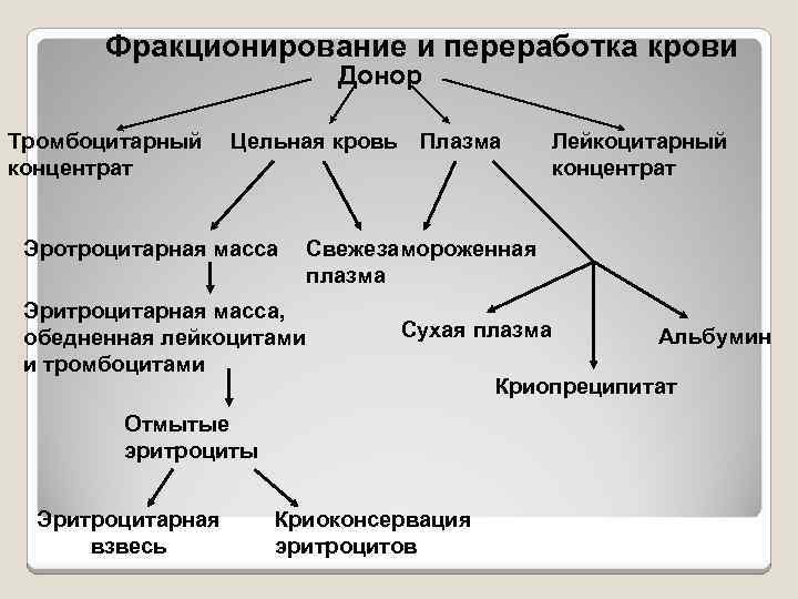 Фракционирование и переработка крови Донор Тромбоцитарный концентрат Цельная кровь Эротроцитарная масса Эритроцитарная масса, обедненная