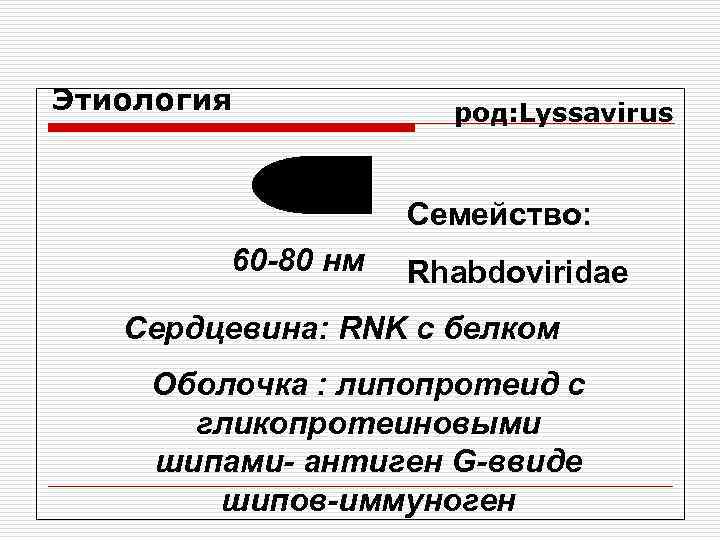 Этиология род: Lyssavirus Семейство: 60 -80 нм Rhabdoviridae Сердцевина: RNK с белком Оболочка :