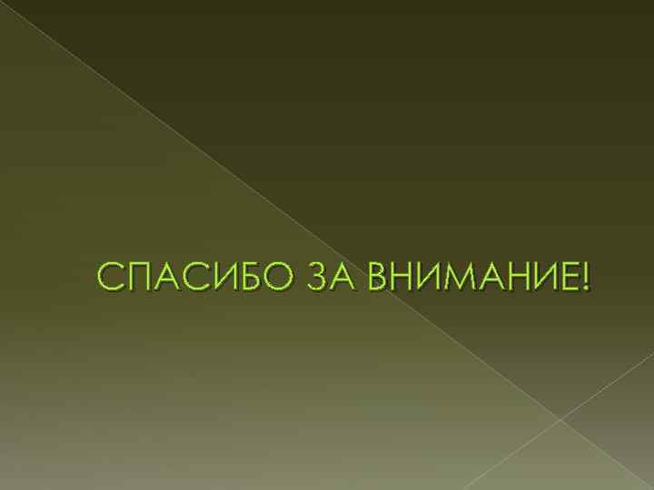 СПАСИБО ЗА ВНИМАНИЕ! 